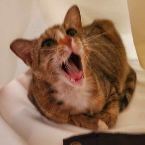 Meet your Posher, Sabrina